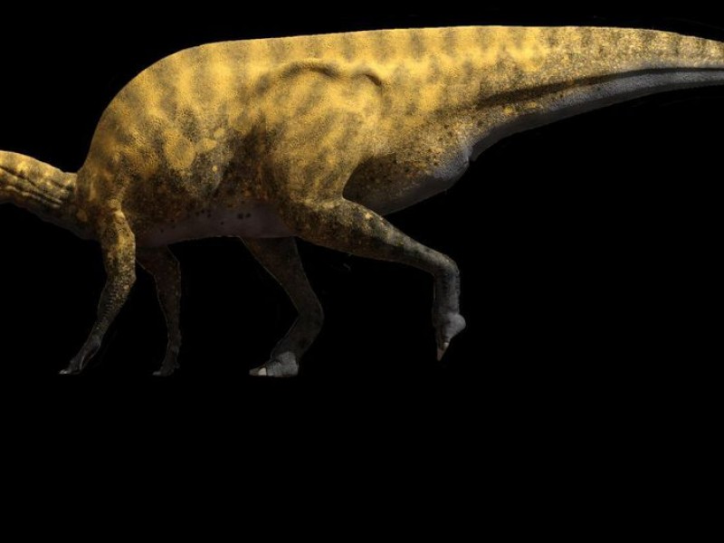 Descubren especie desconocida de dinosaurio en España