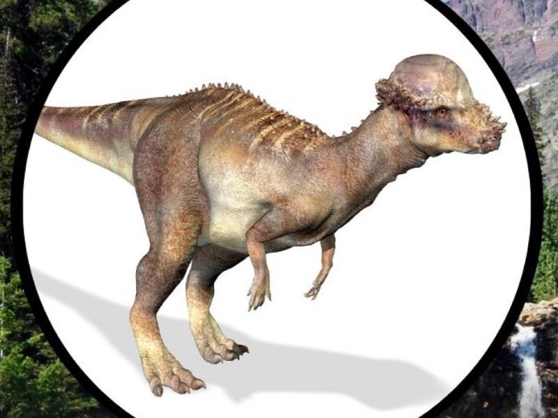 Descubren nuevo dinosaurio en el Estado de Montana Descubren nuevo dinosaurio en el Estado de Montana