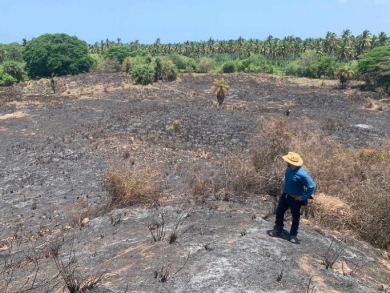 Descubren zona arqueológica en Tecpan, habitado en 200-650 d.C.