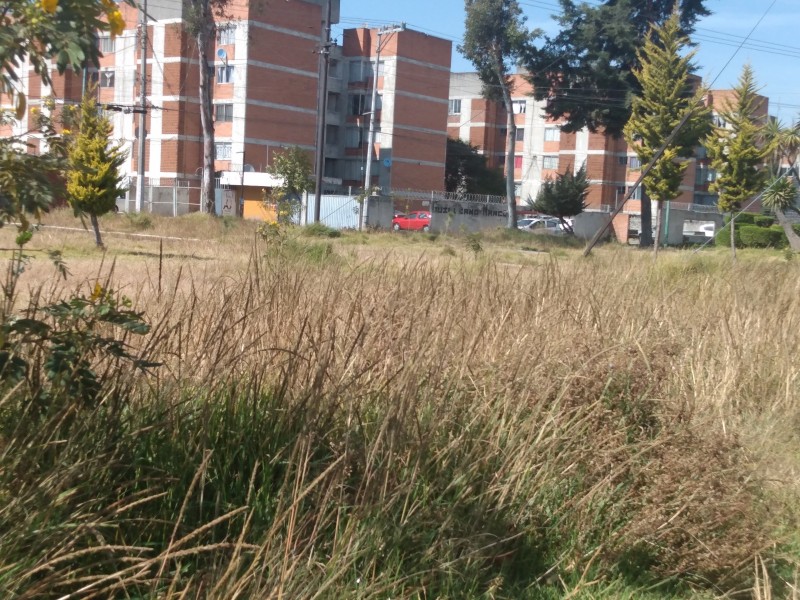 Descuidan autoridades parque en Toluca.