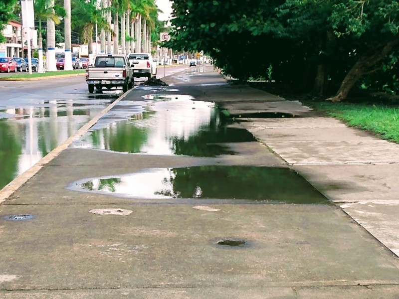 Descuidan bulevares Independencia y Maples Arce