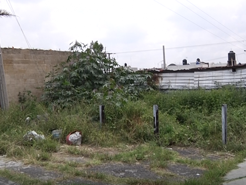 Denuncian descuido de la Av. 71 poniente