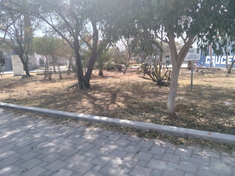 Descuido evidente en parques y áreas verdes de la periferia