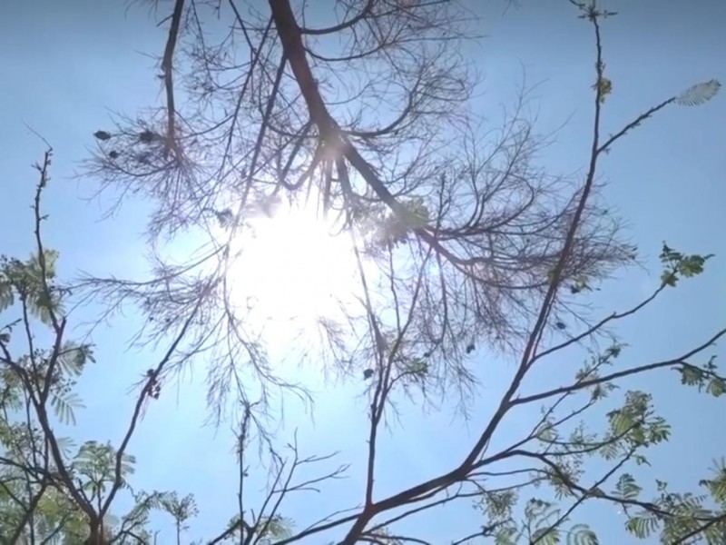 Desde diarrea hasta quemaduras solares, SSA emite alerta de prevención