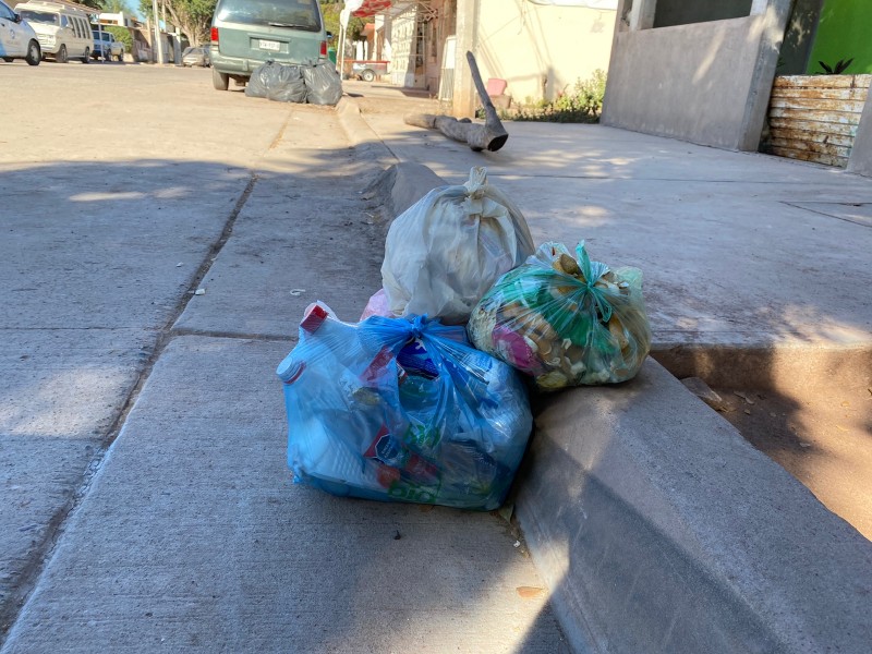 ¡Desde el año pasado no pasa el camión de la basura! denuncian ciudadanos