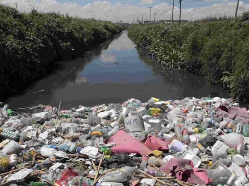 Desechos de plástico dañan flora y fauna del Edomex