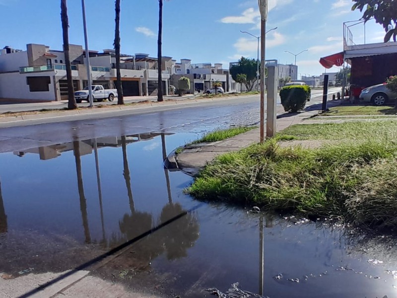 Desespera a vecinos que Japama no atienda aguas negras en Viñedos