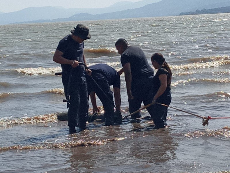 Deshabilitan mega toma ilegal de agua