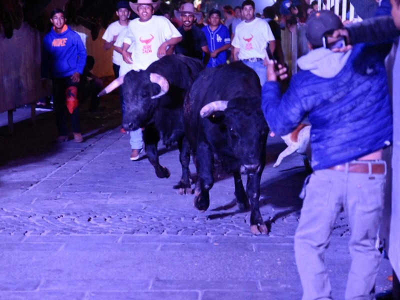 Deslumbrante encierro nocturno de la Jerezada