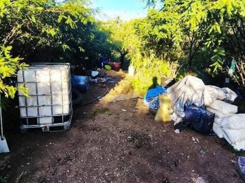 Desmantelan laboratorio clandestino en Olinalá