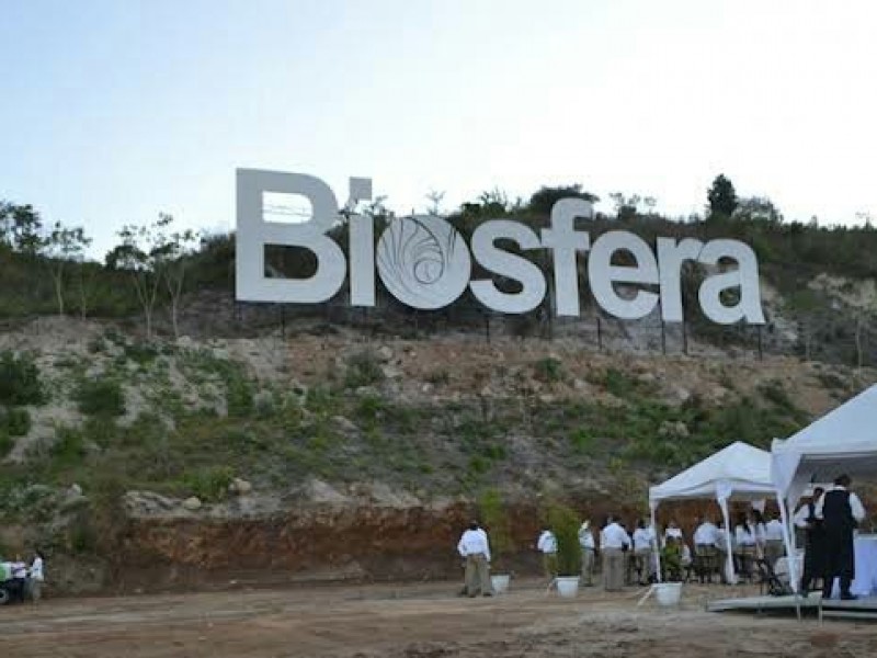 Desmiente SOP; proyecto Jacarandas no beneficia a BIÓSFERA