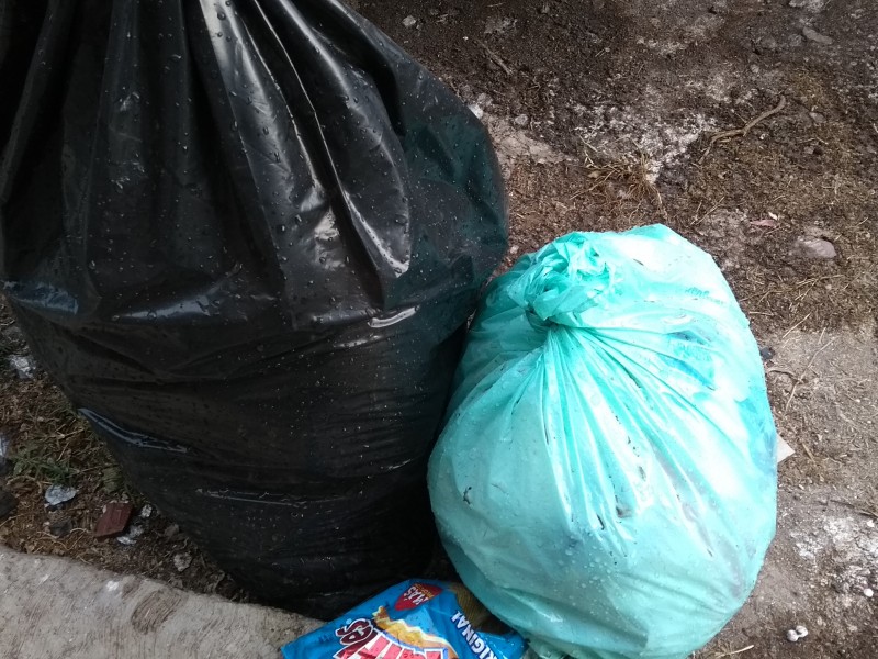Desmienten recolección irregular de basura en Zamora