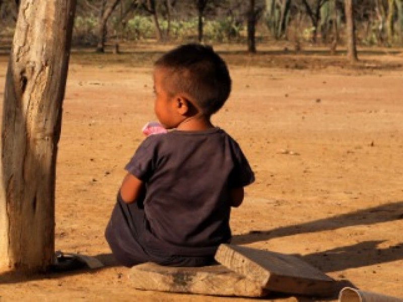 Desnutrición infantil  Mal que acecha a menores