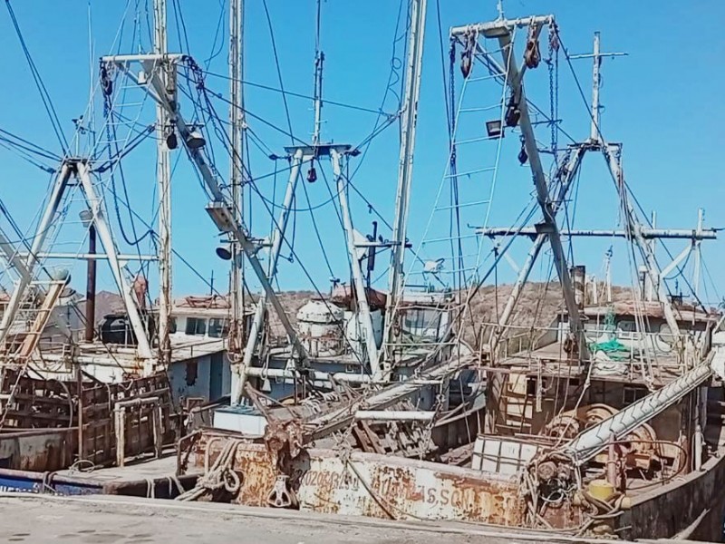 Desolación en los muelles por crisis pesquera