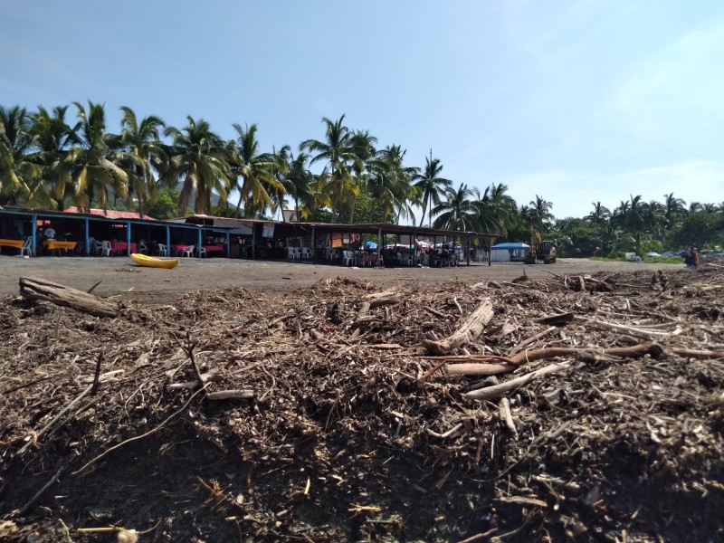 Desolador panorama para playa Linda, basura orgánica ahuyentó al turismo