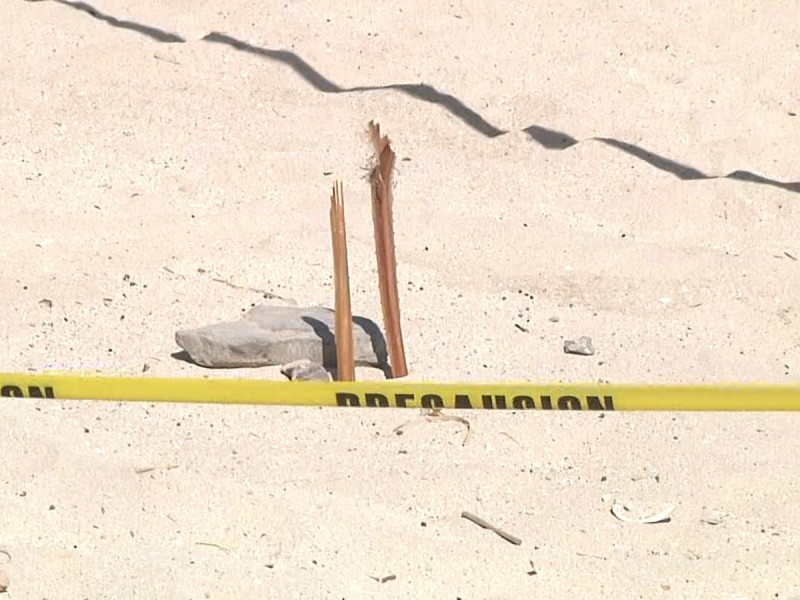 Desova tortuga en el Malecón de La Paz