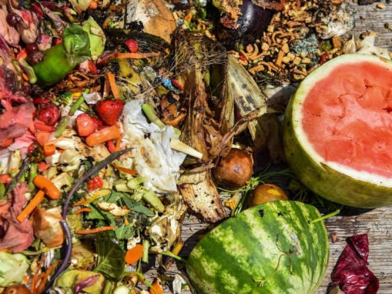 Desperdició de alimentos un problema grave de contaminación