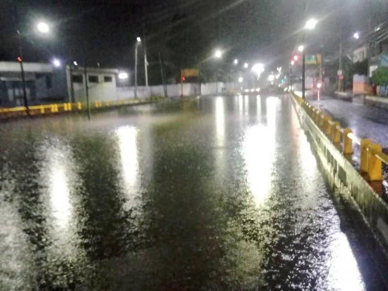 Despierta León bajo el agua