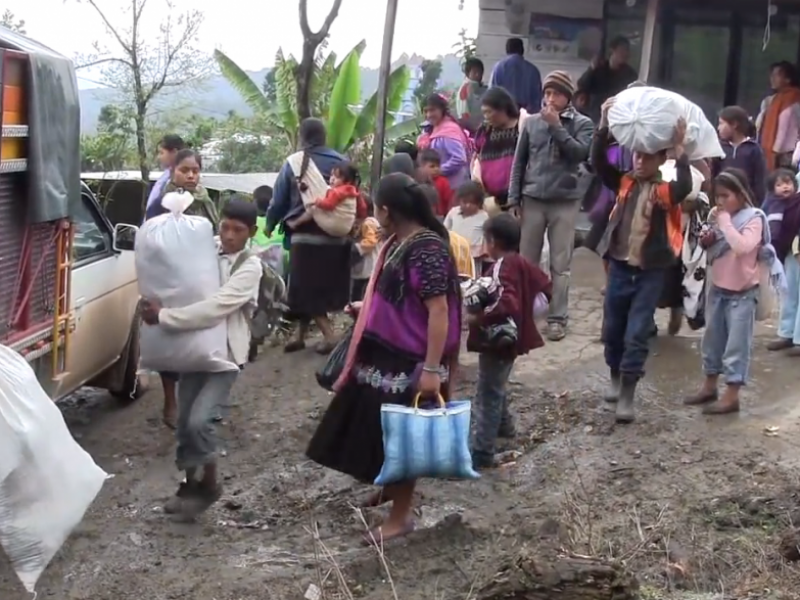 Desplazados de Chalchihuitán volverían a sus hogares pese a riesgos