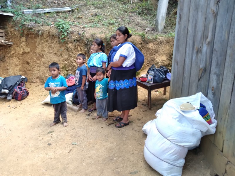 Desplazados de Pantelhó  huyen a las montañas