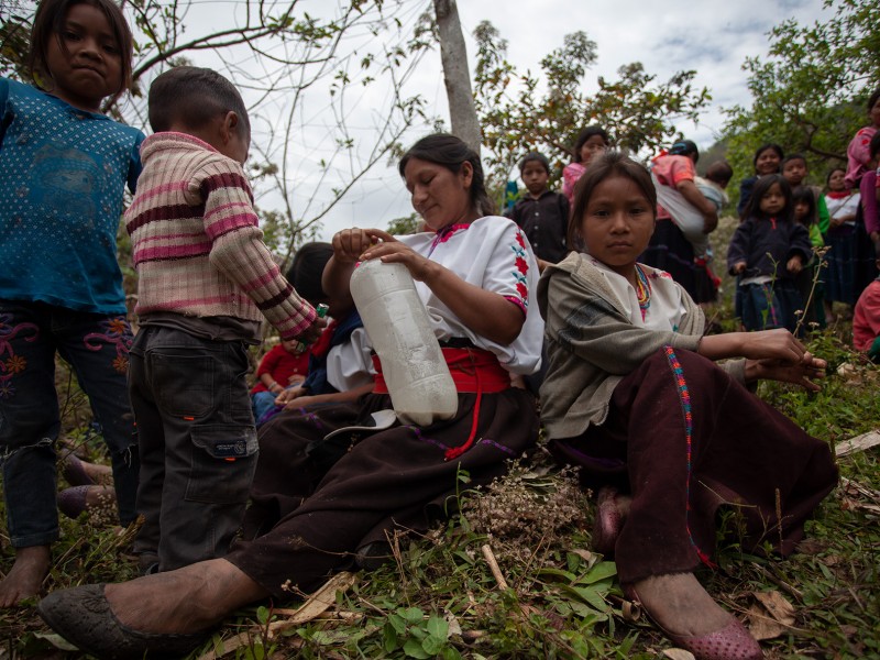 Desplazamiento, un fenómeno que lacera los altos de Chiapas