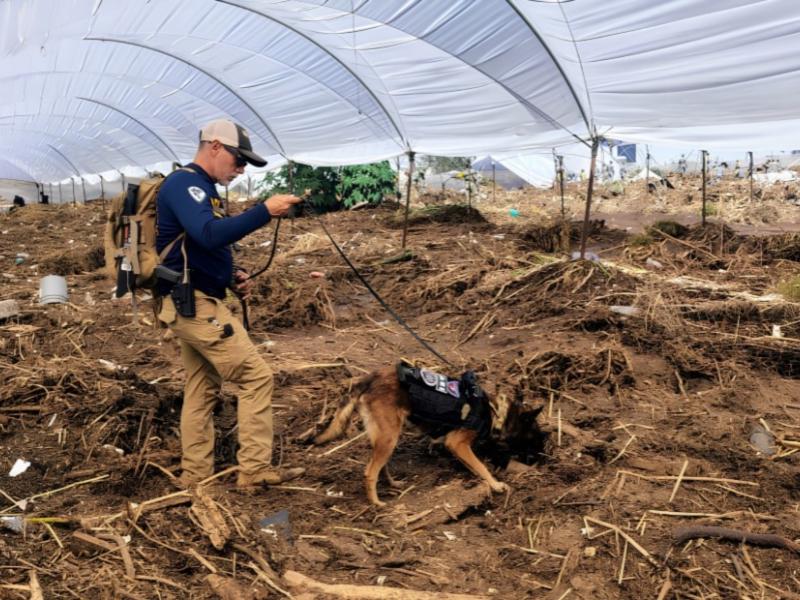 Despliegan 50 agentes para buscar a personas no localizadas tras tormenta Rachel