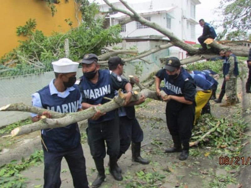 Despliegan brigadas de SEMAR a Tecolutla