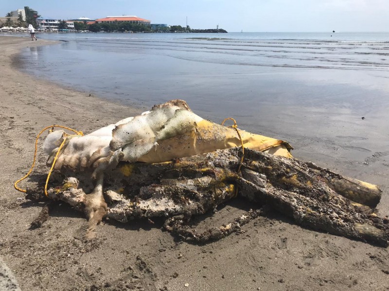 Despliegan operativo en Playa Villa del Mar