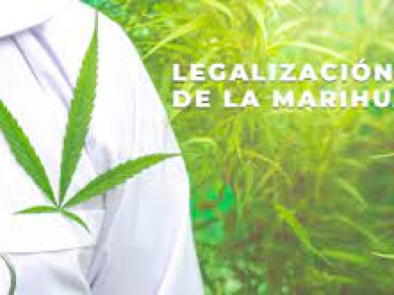 Despreocupa al CEPTCA legalización de la marihuana