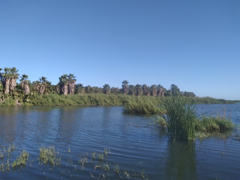 Estero Josefino se recupera