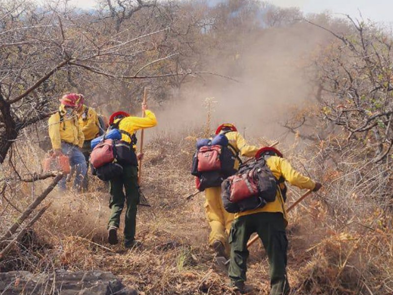 Después de nueve días, liquidan fuego en cerro Las Aguilillas