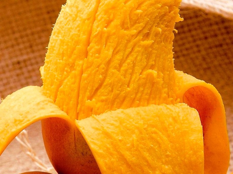 Destaca Chiapas en la producción y exportación de mango ataulfo