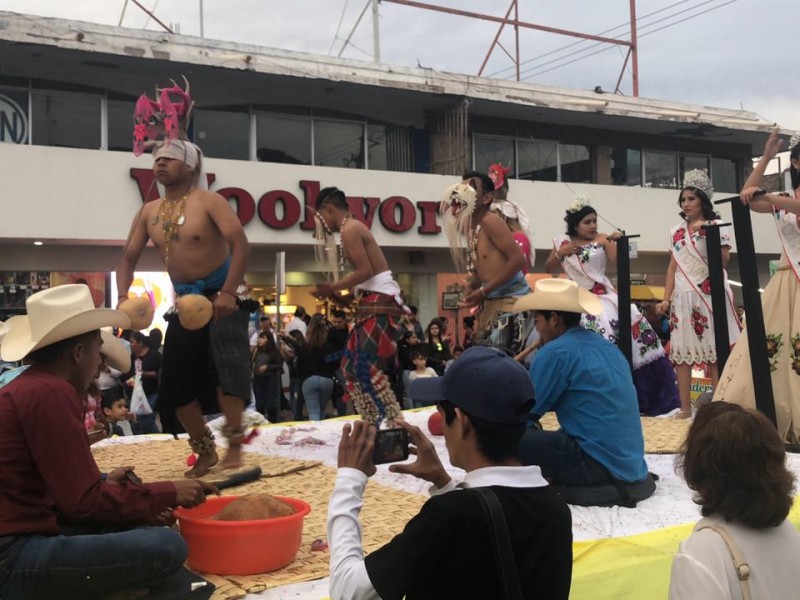 Destaca la Danza del Venado en Carnaval