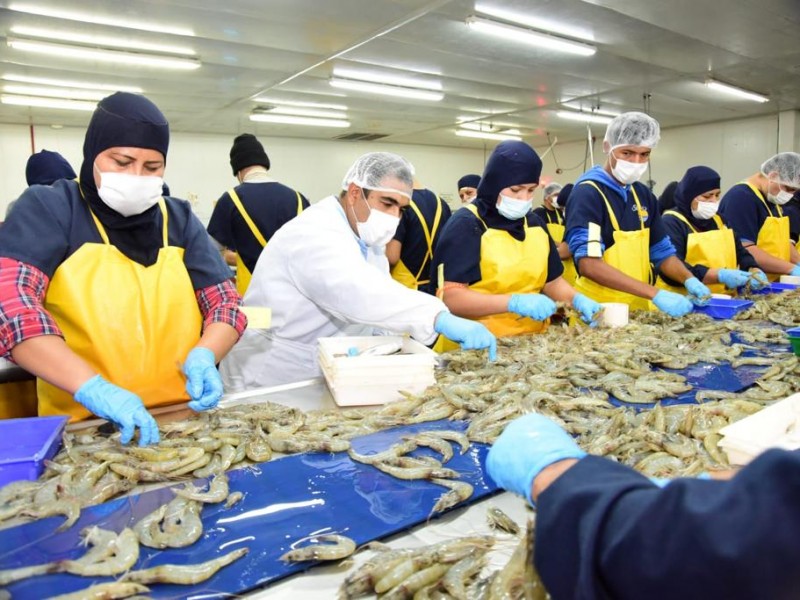 Destaca Sonora en sanidad pesquera y acuícola