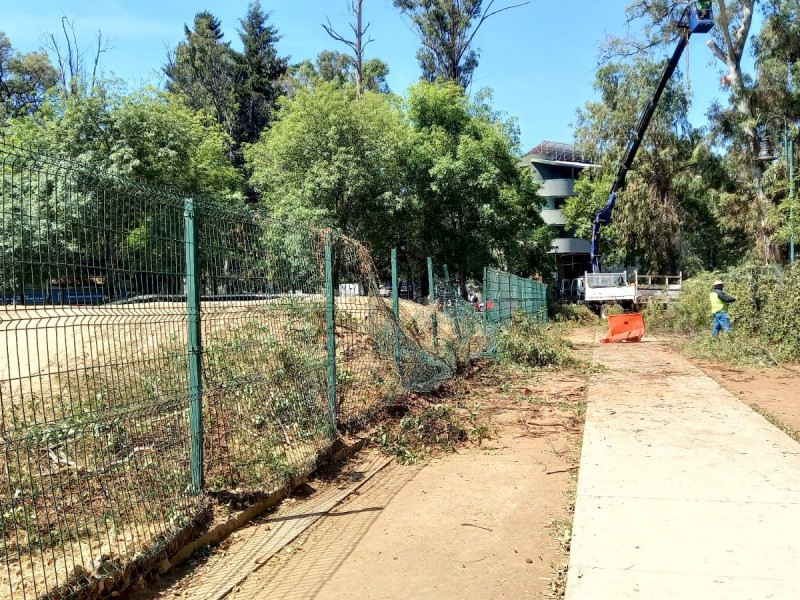 Destrozan cerca que rodea zona de ciclismo en Bosque Cuauhtémoc