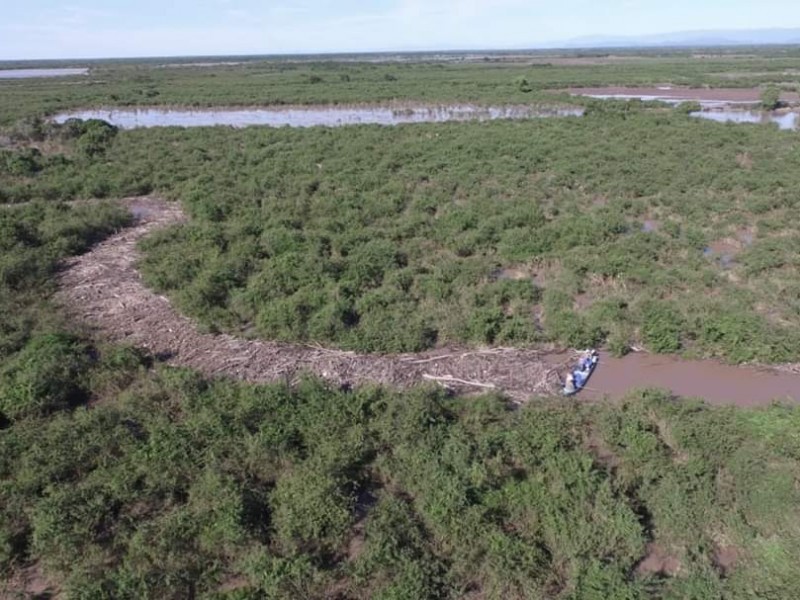 Destruirán taponamiento en río San Pedro que provocaba inundaciones