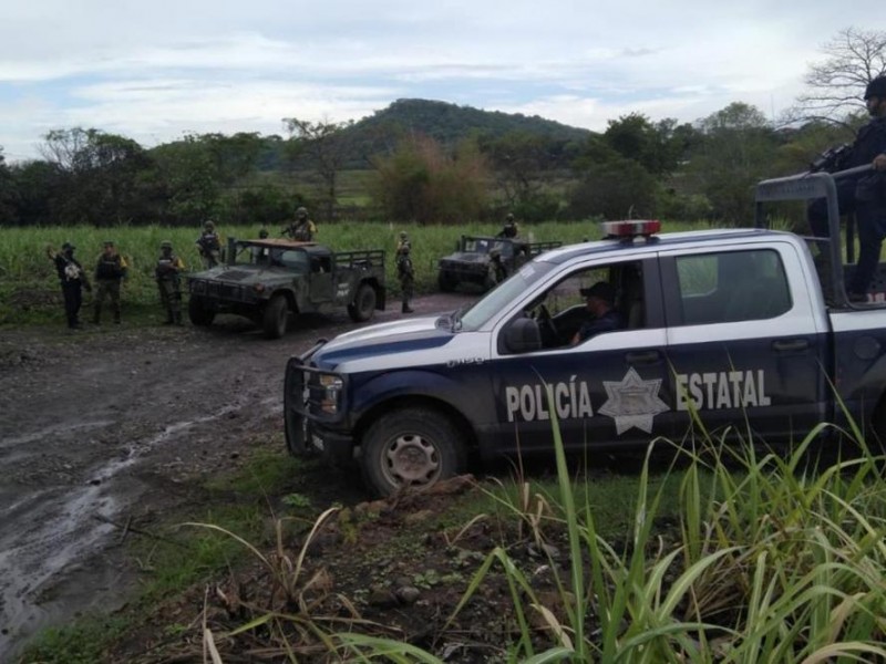 Destruyen campamento ilícito en comunidad de Aguililla