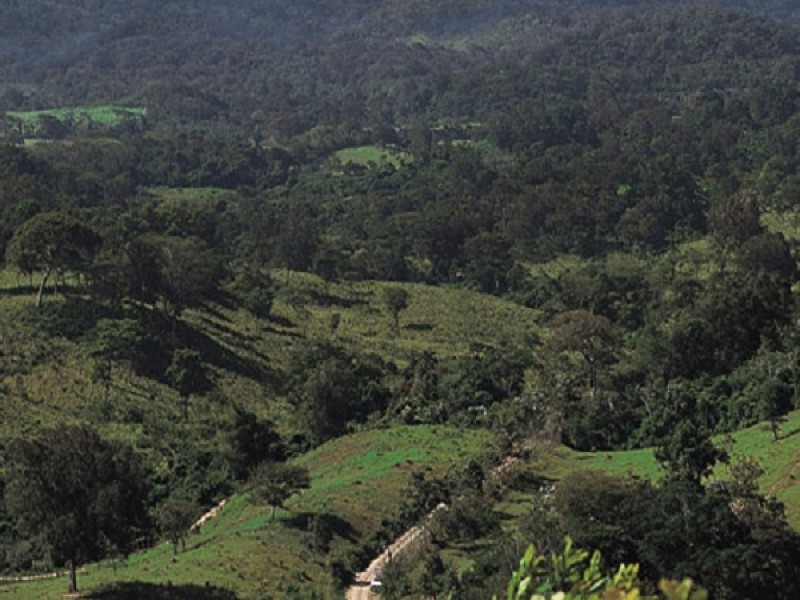 Detectan 3 coordenadas erróneas en Chimalapas