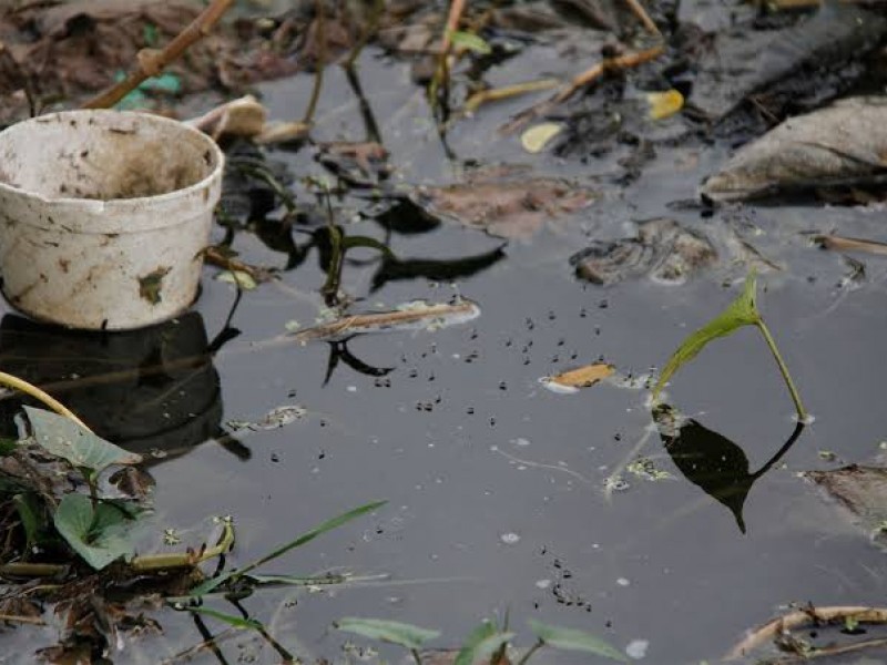 Detectan 7 casos de dengue en León