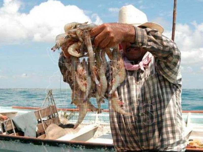 Detectan en Rosamorada pescadores ladrones de camarón