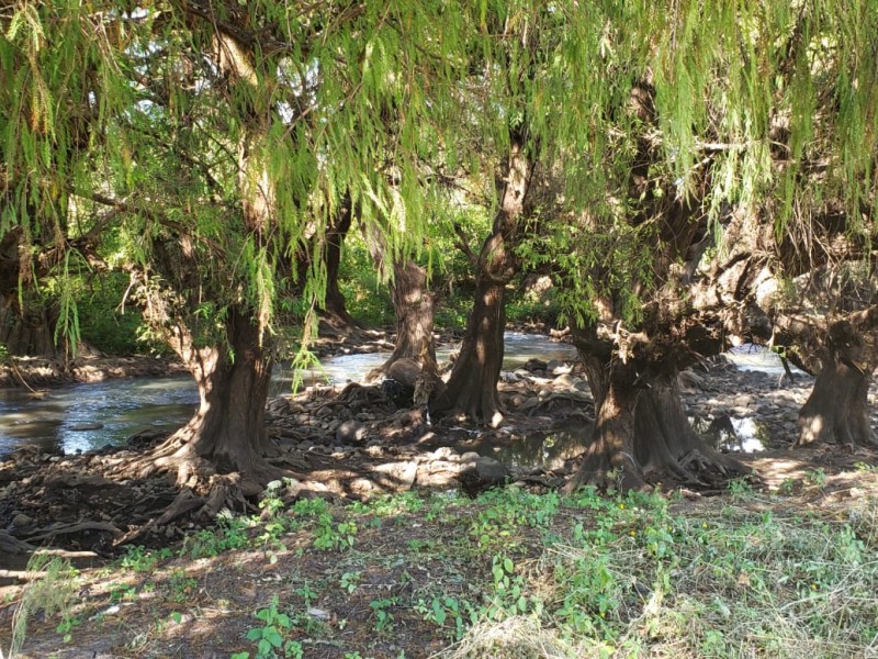 Detectan focos de contaminación en el Río Duero