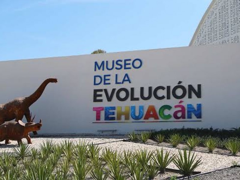 Detectan irregularidades en el museo de la evolución en Tehuacán