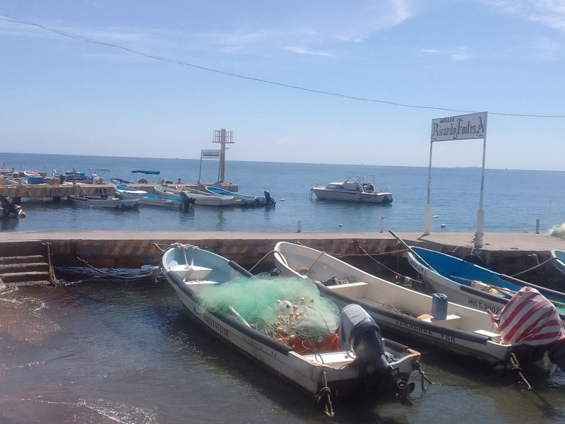 Detectan pescadores contaminantes en aguas de Veracruz