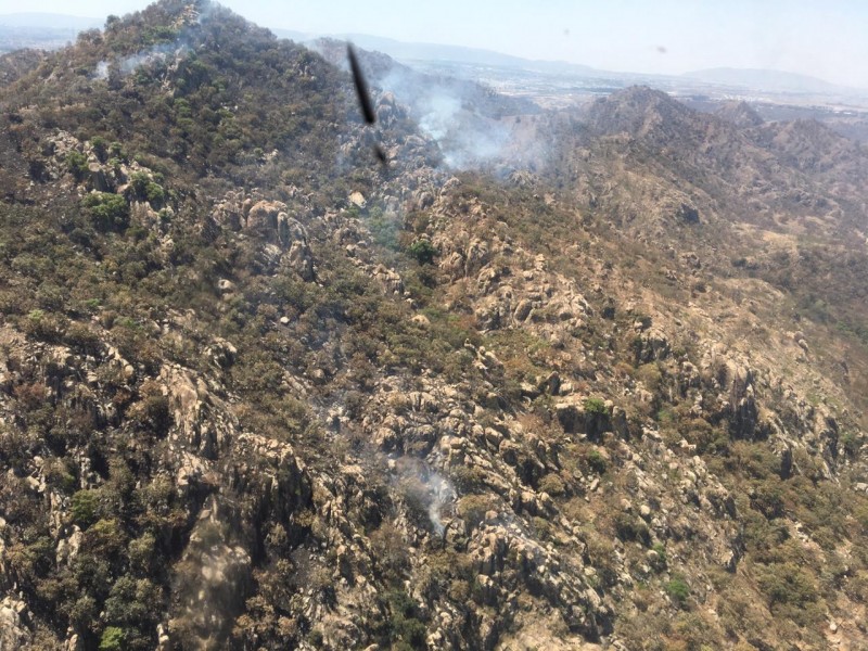 Detectan piromaniaco de áreas naturales en Zapopan