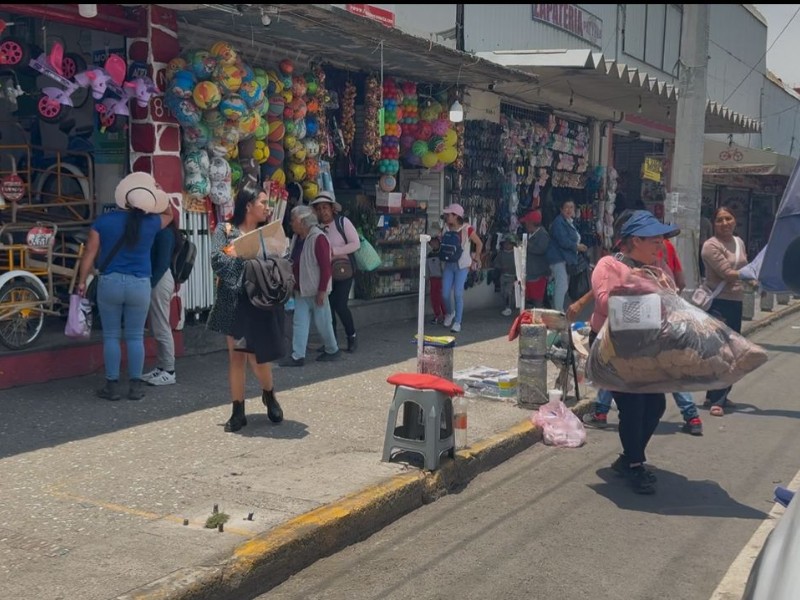 Detectan presencia de “Halconeo” en operativos contra ambulantaje en Toluca