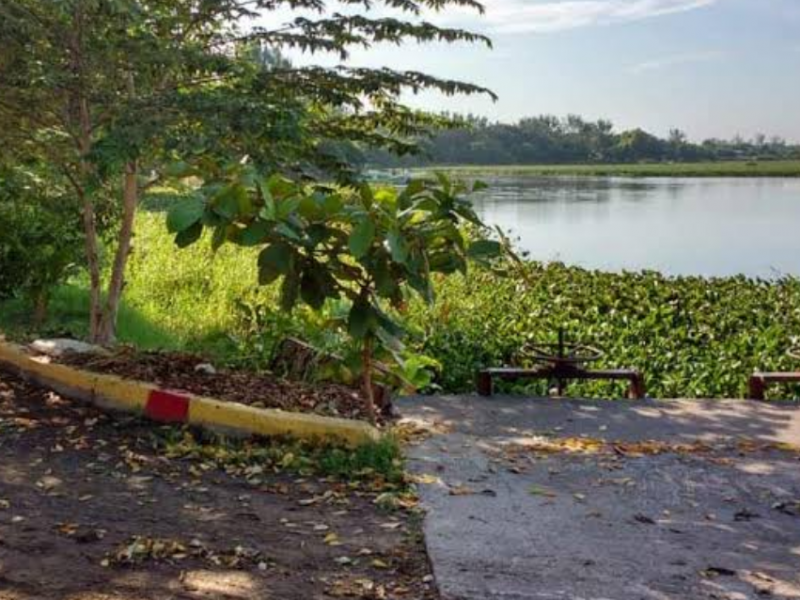 Detenida rehabilitación de la laguna Lagartos:Alcalde