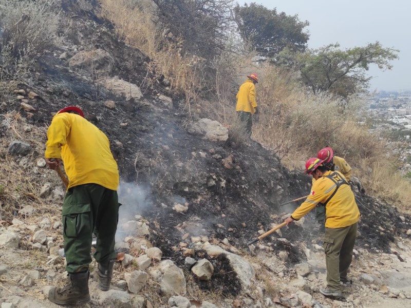 Detenido por causar incendio en zona forestal en Bugambilias