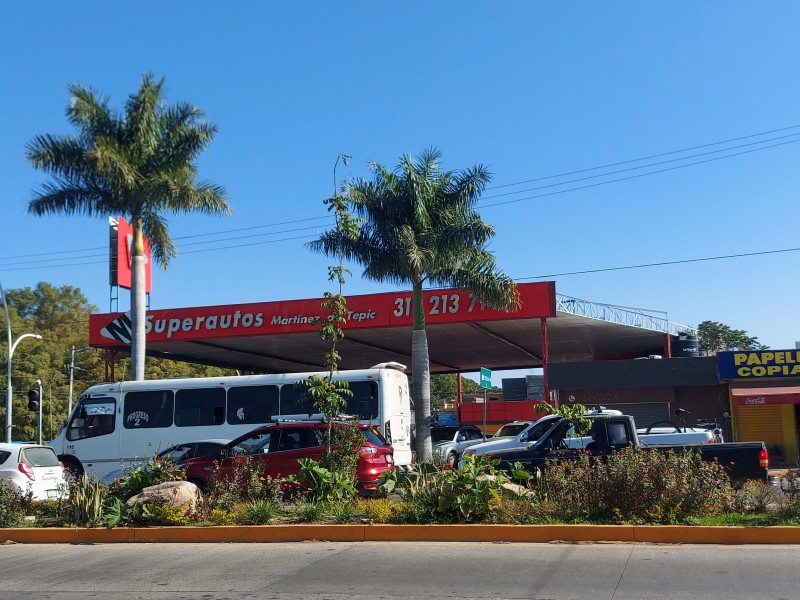 Detenido y sancionado por robar plantas en jardineras de Tepic