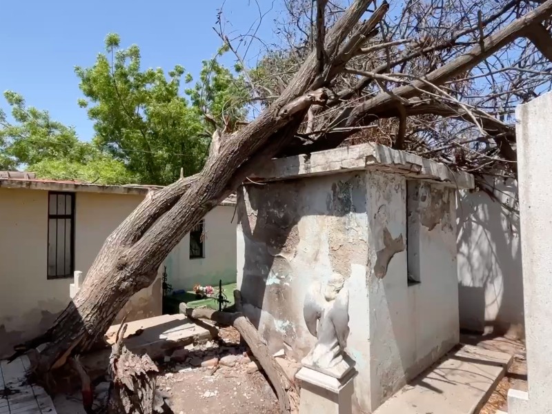 Deterioro y basura evidencian crisis en panteón municipal de Guasave