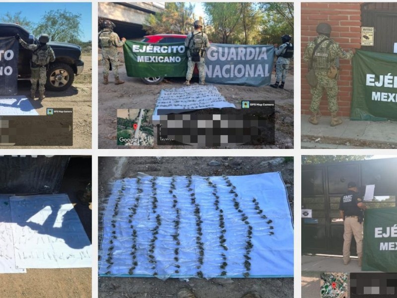 Detienen a 135 personas durante operativos en Sonora